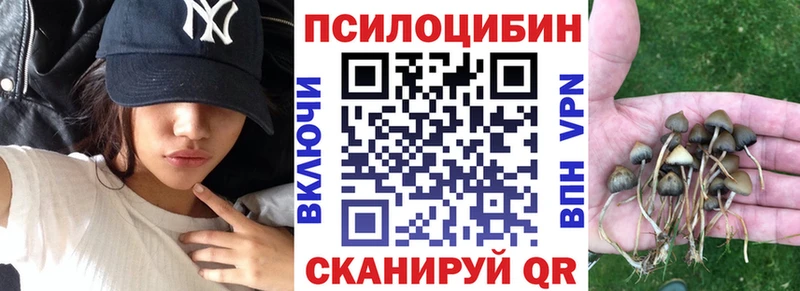 Галлюциногенные грибы прущие грибы  Туапсе 